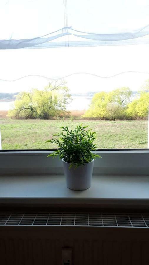 Ferienwohnung Mit Seeblick 勃兰登堡 外观 照片